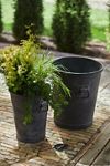 Eden Pitcher