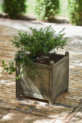 Square Galvanized Planter, 18"