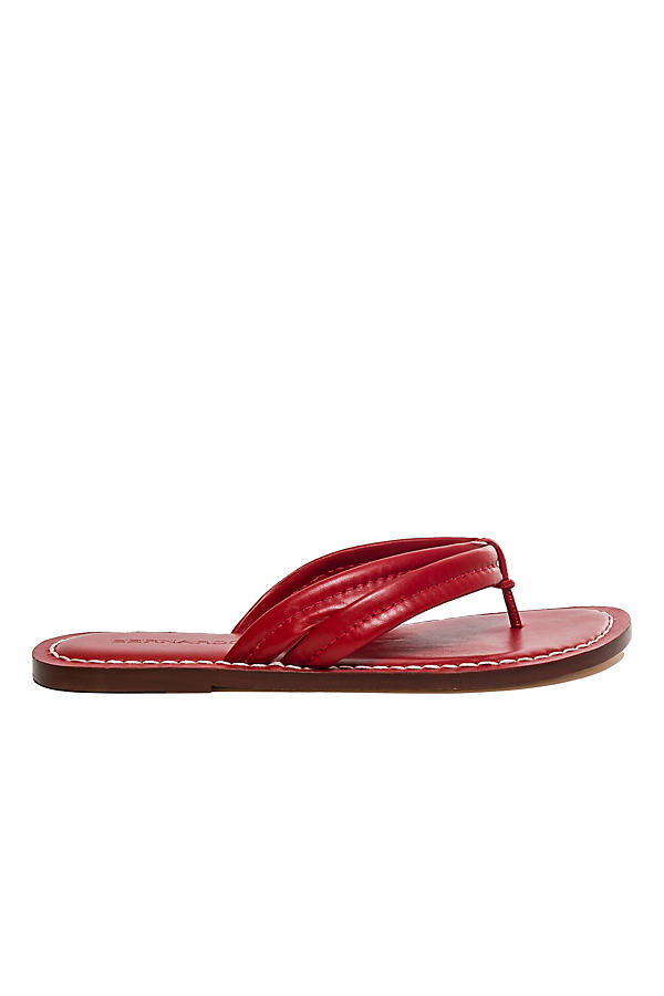 Shop Bernardo Miami Sandals In Red