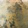 SILVER CONIFER (WOODY FRESH)