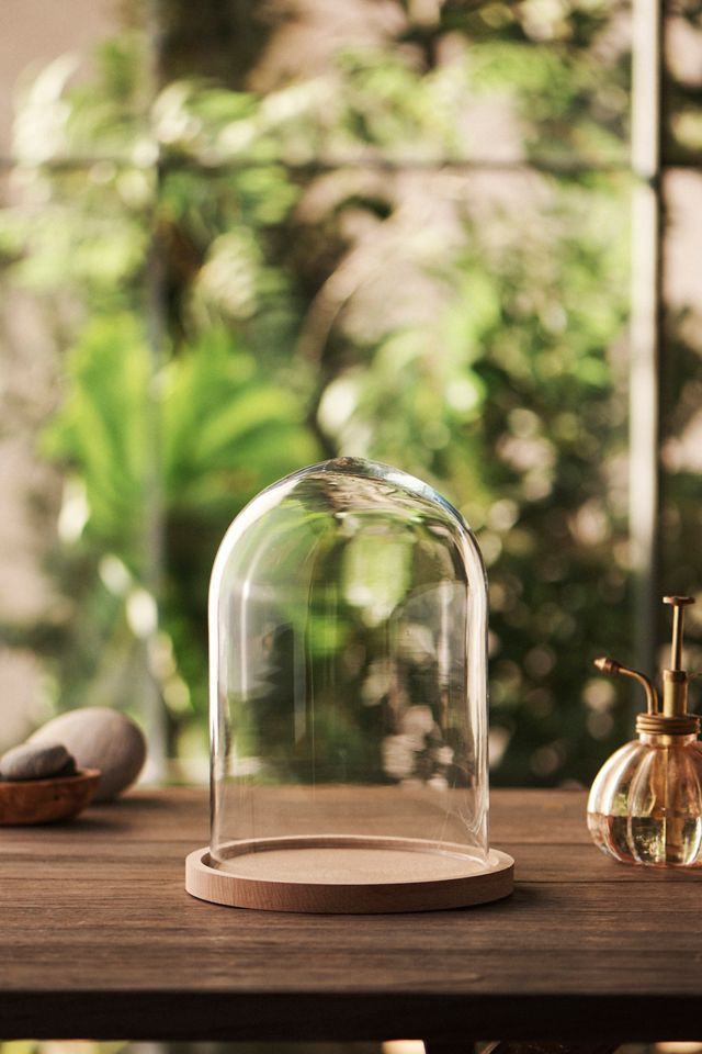 Glass Cloche with Wood Base #2