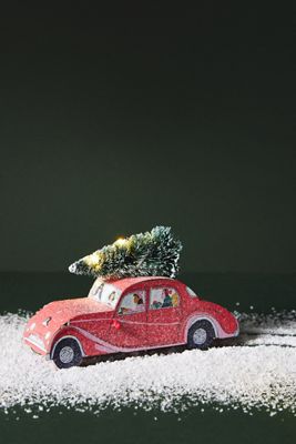 George & Viv Christmas Tree Car