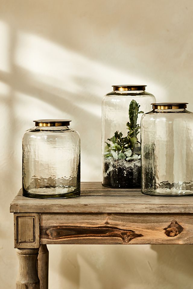 Hammered Glass Terrarium with Lid