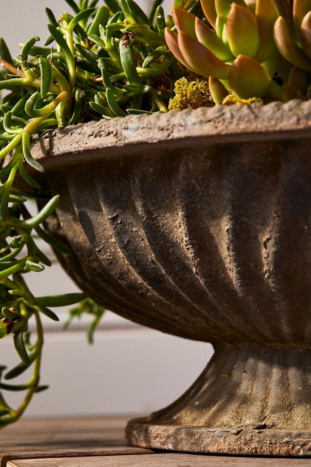 Cast Iron Low Oval Urn Planter #3