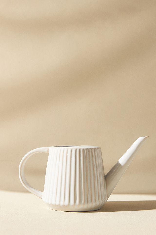 Rustic Stoneware Watering Can #1