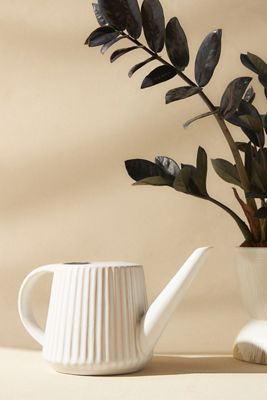 Rustic Stoneware Watering Can