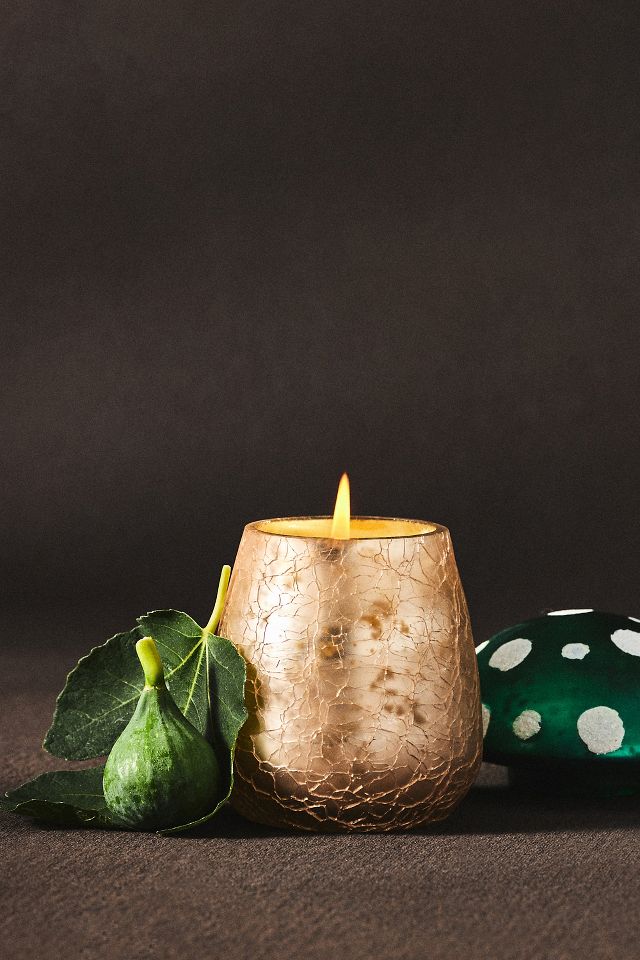 Amanita Mushroom Candle | Anthropologie UK