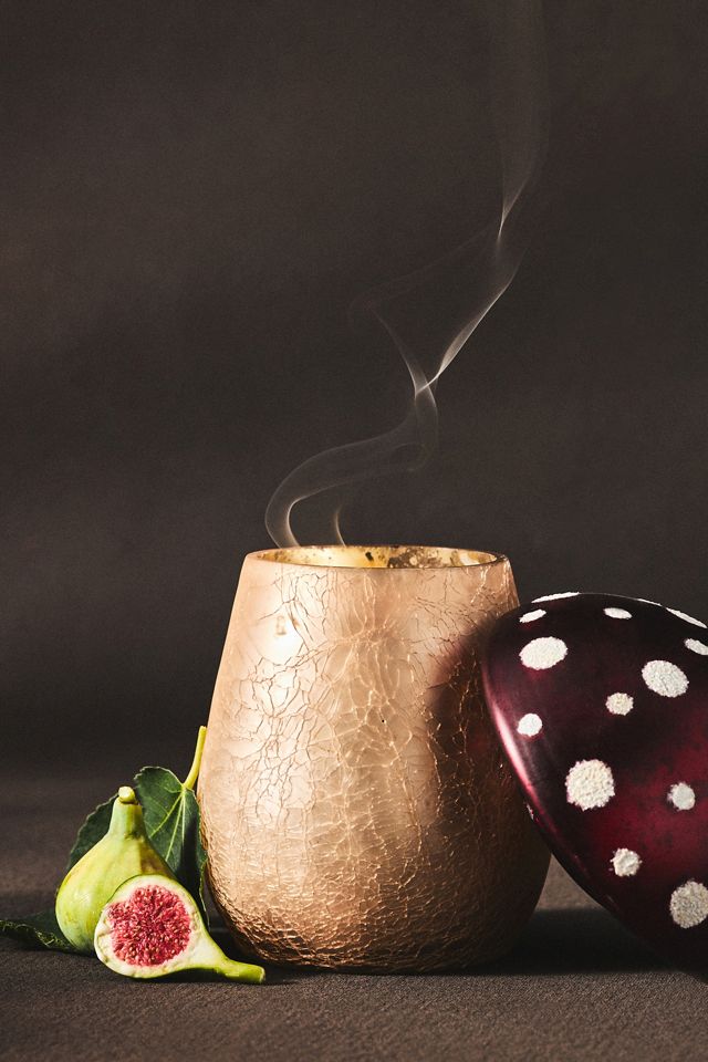 Amanita Mushroom Candle