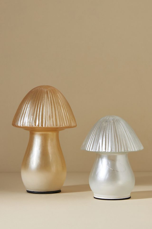 Illuminated Mushroom #3