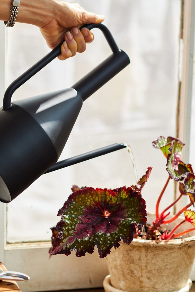 Tall Iron Watering Can #1