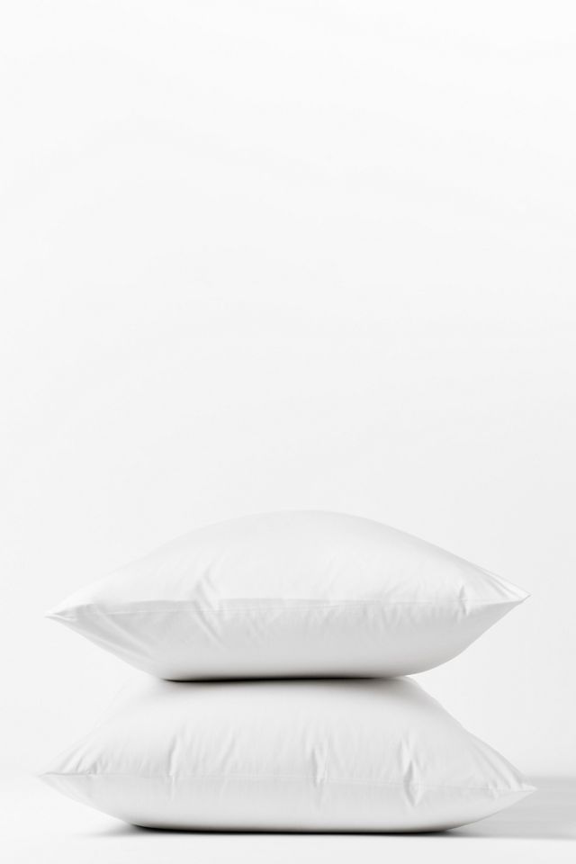 Coyuchi Down Pillow Standard White