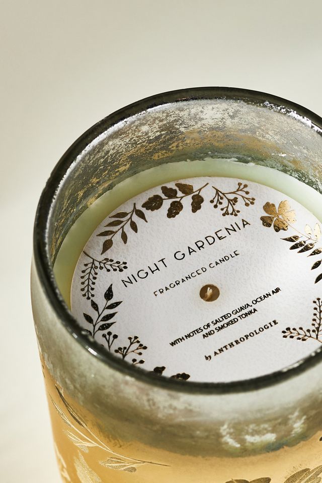Noelle Candle #2