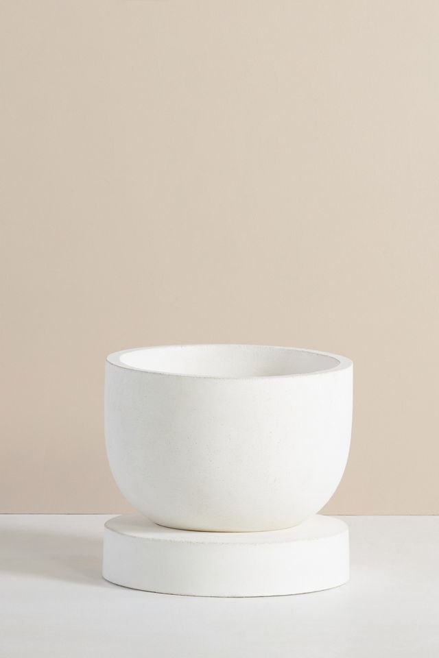 Concrete Planter #3