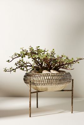 Flora Plant Stand