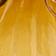 Dark Yellow