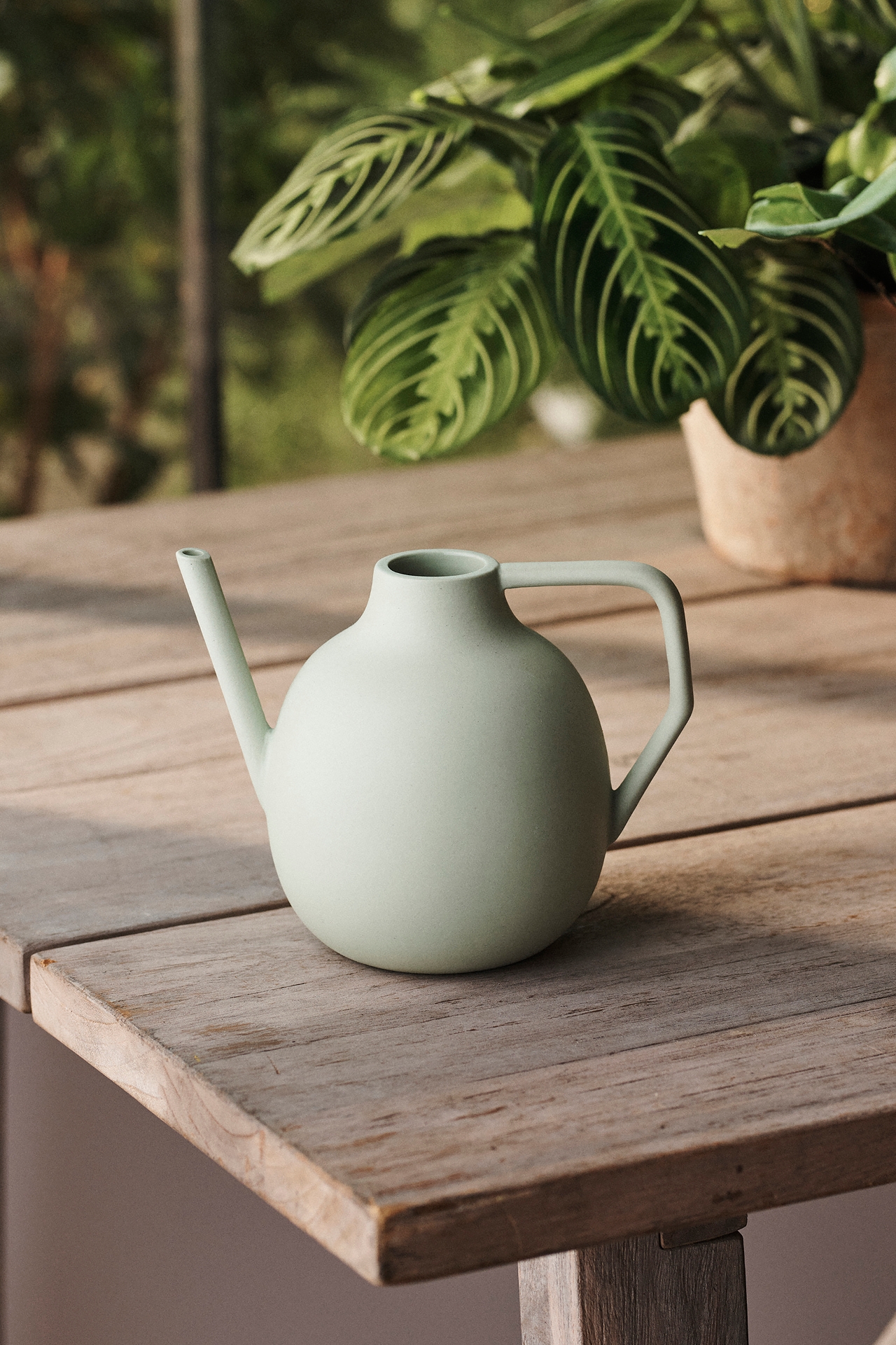 Colorful Ceramic Watering Can, Milo