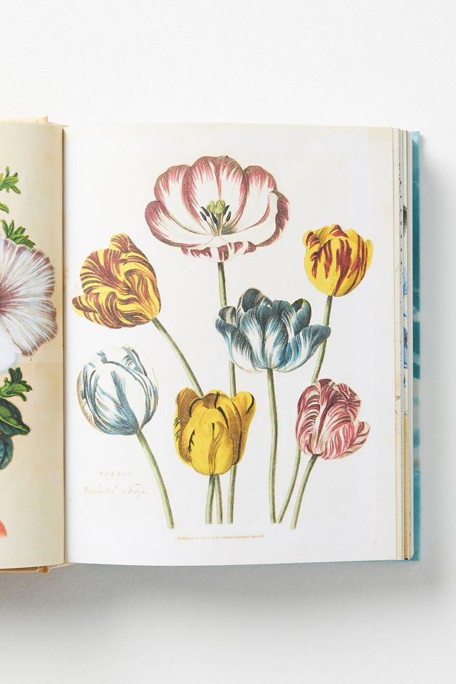 John Derian Sticker Book #1