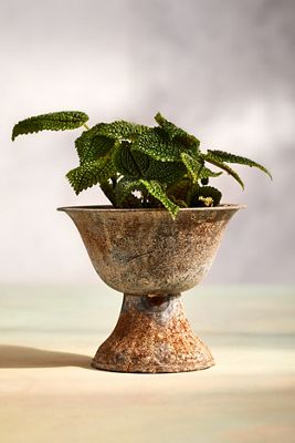 Aged Iron Droplet Pot