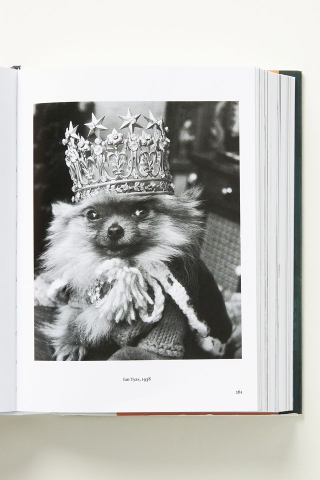 The Dog in Photography #1