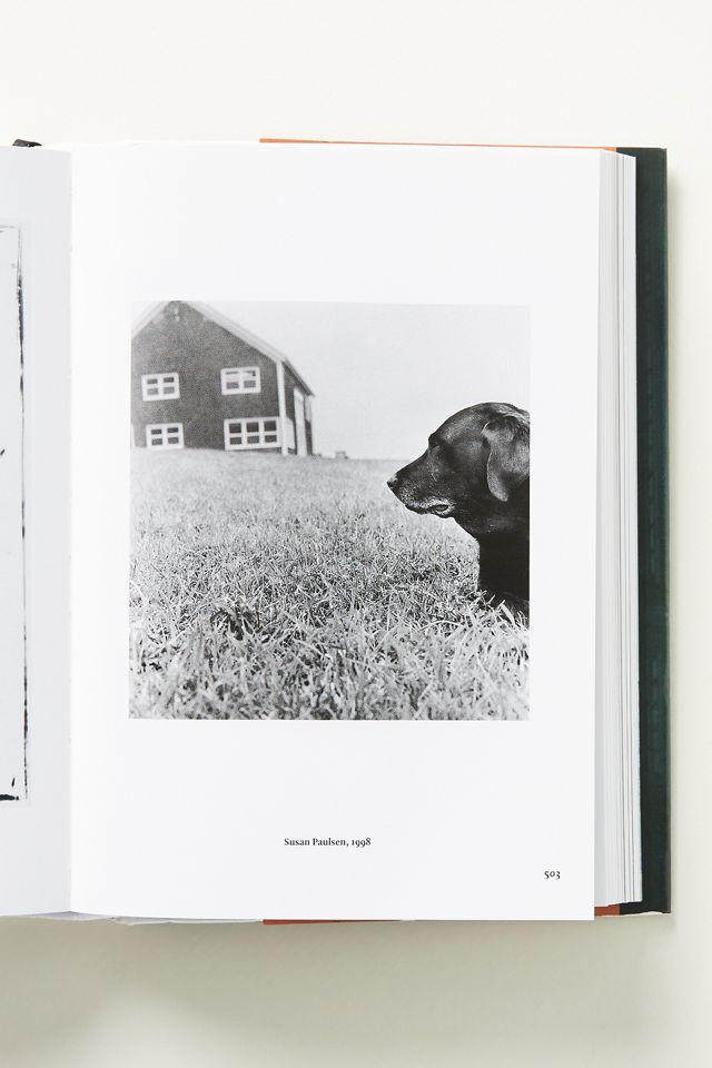 The Dog in Photography #2