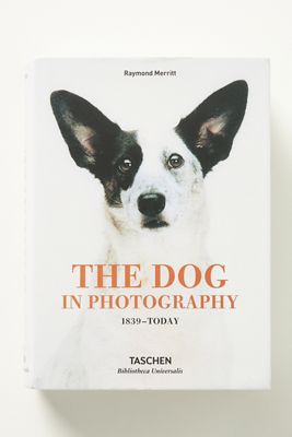 The Dog in Photography