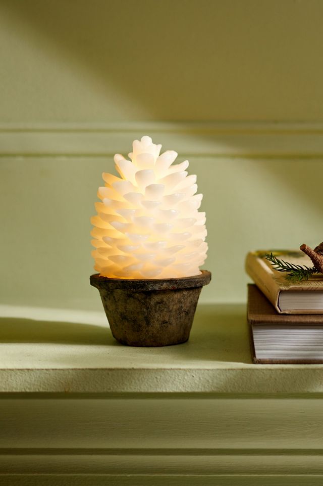 Led pine cone terrain