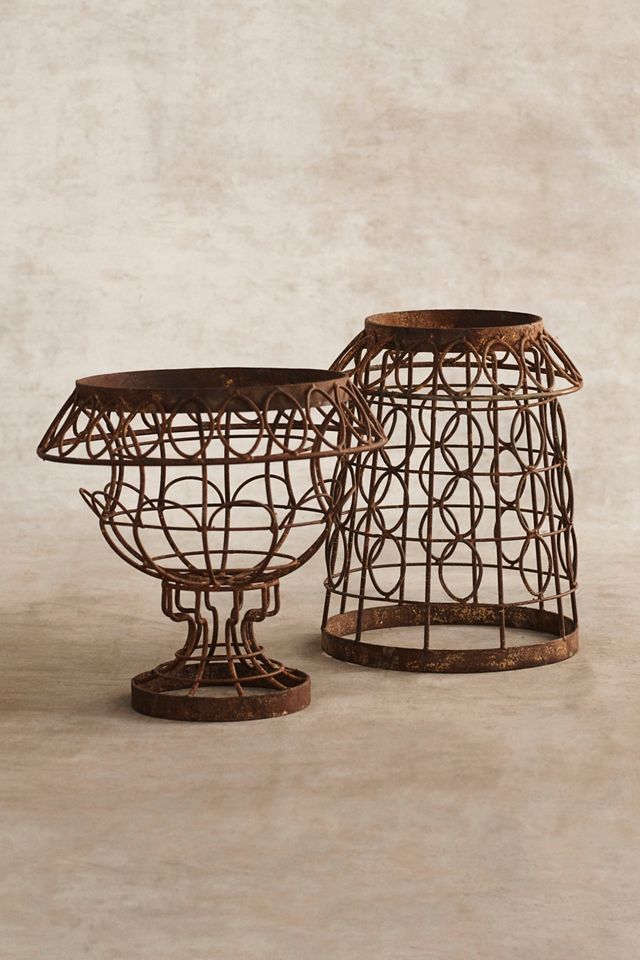 Aged Iron Wire Collared Plant Stand #2