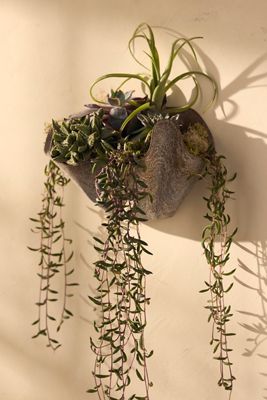 Handkerchief Iron Bowl Wall Planter, 9"