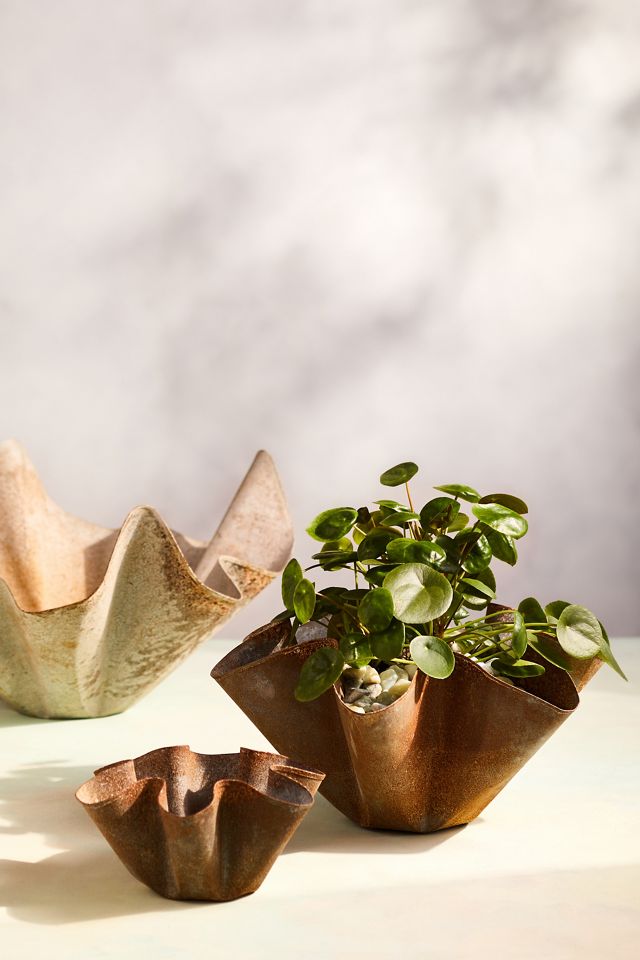 Handkerchief Iron Bowl Planter, 20"