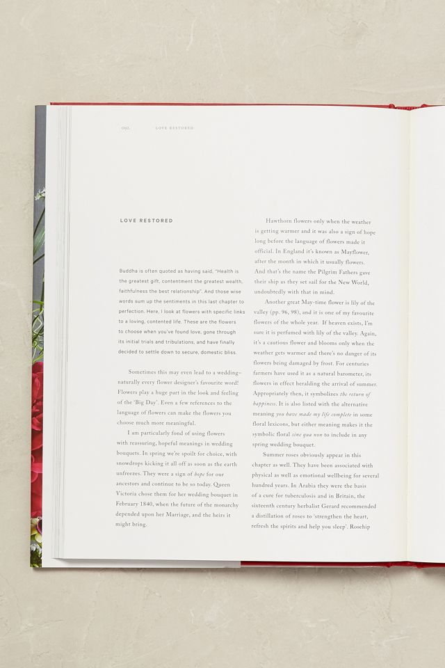 Discover the Meaning of Flowers #1