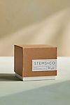 Stems and Co. Candle, Bluff #1