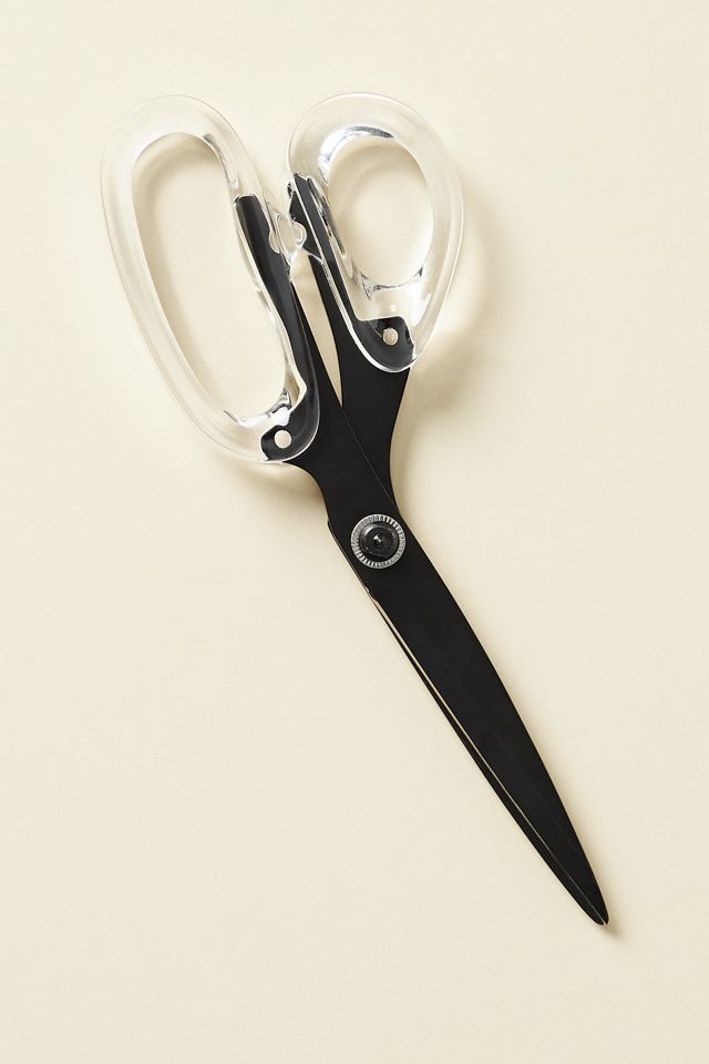 Acrylic Scissors #1