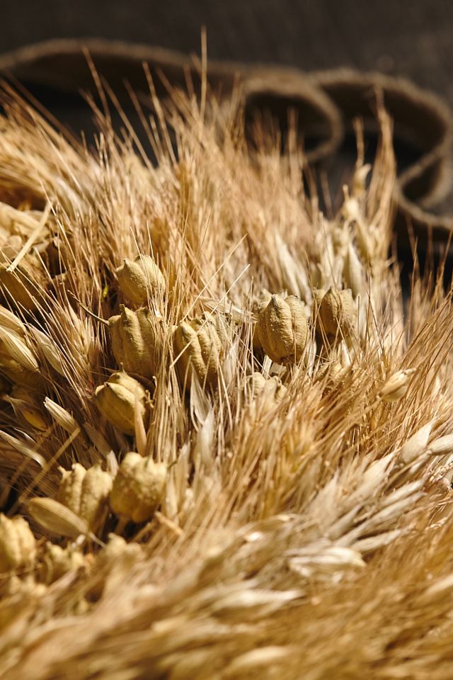 Dried Dutch Harvest Wreath #2