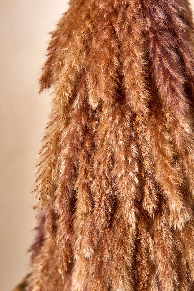 Fluffy Pampas Cone #1