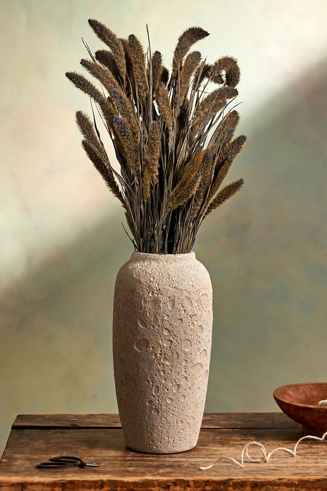 Preserved Setaria Bunch #2