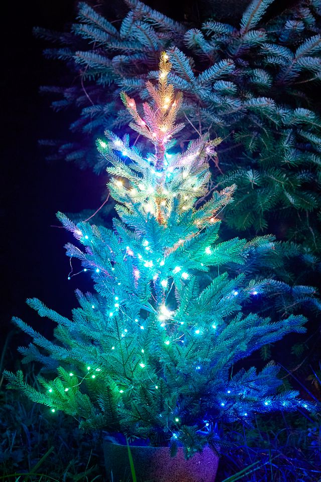 Artificial Christmas Tree with Remote-controlled Color-changing