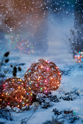 Stargazer Color-Changing Ball Light Strand | Terrain