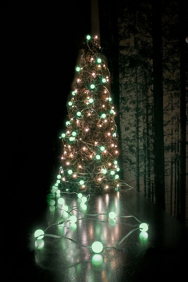 Stargazer Color-Changing Ball Light Strand #3