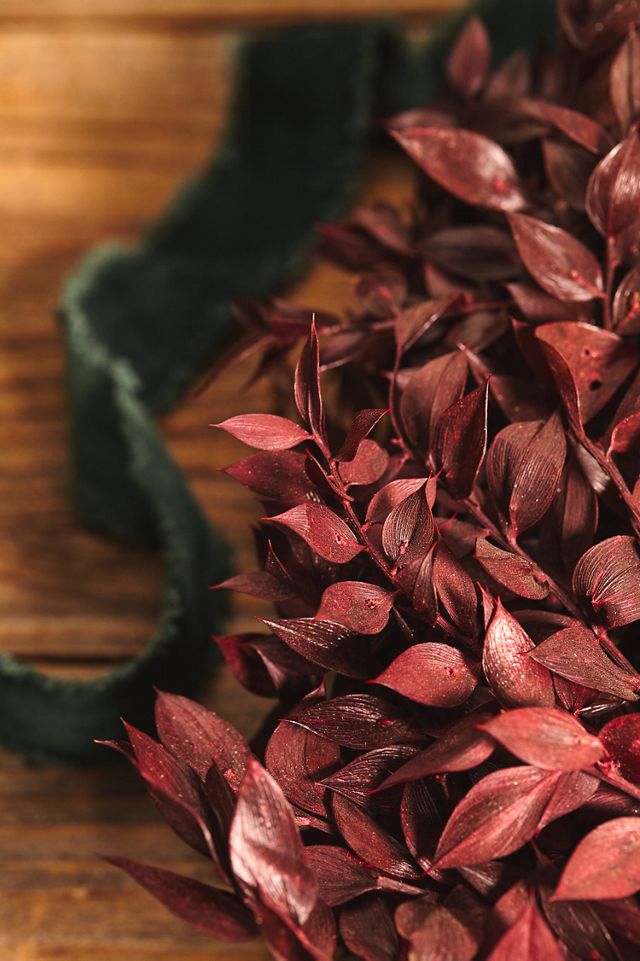 Preserved Bordeaux Ruscus Wreath #1