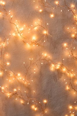 Stargazer Twinkling Tendril Vine Lights