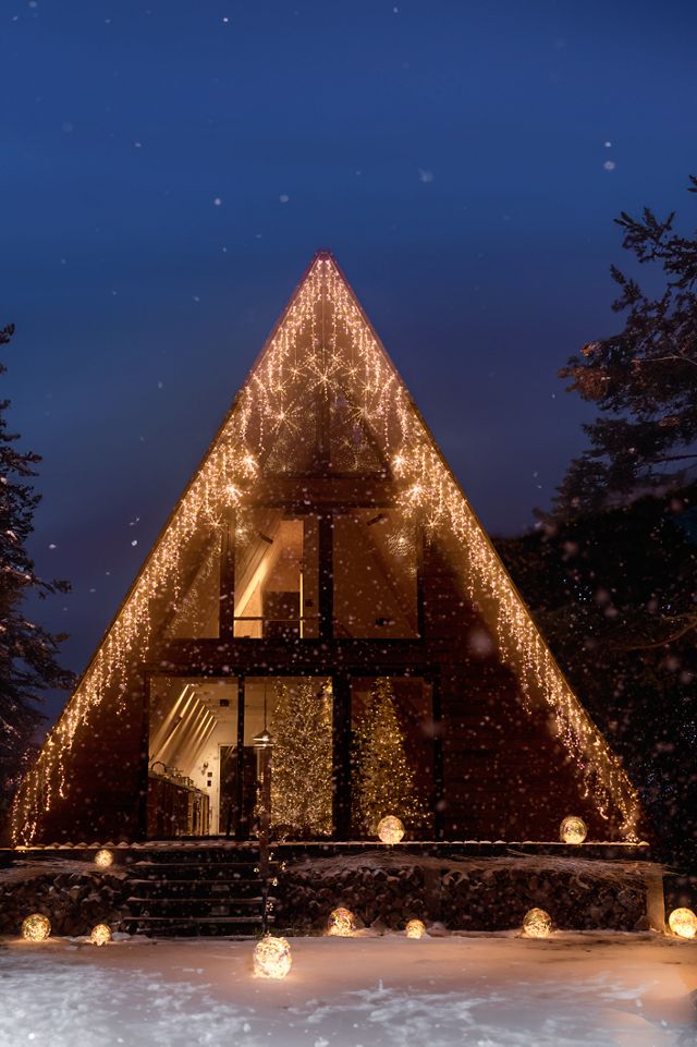 Stargazer Twinkling Northstar Twine Lights #8