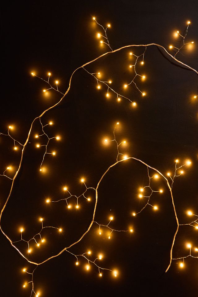 Anthropologie string lights top