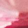 Fuschia