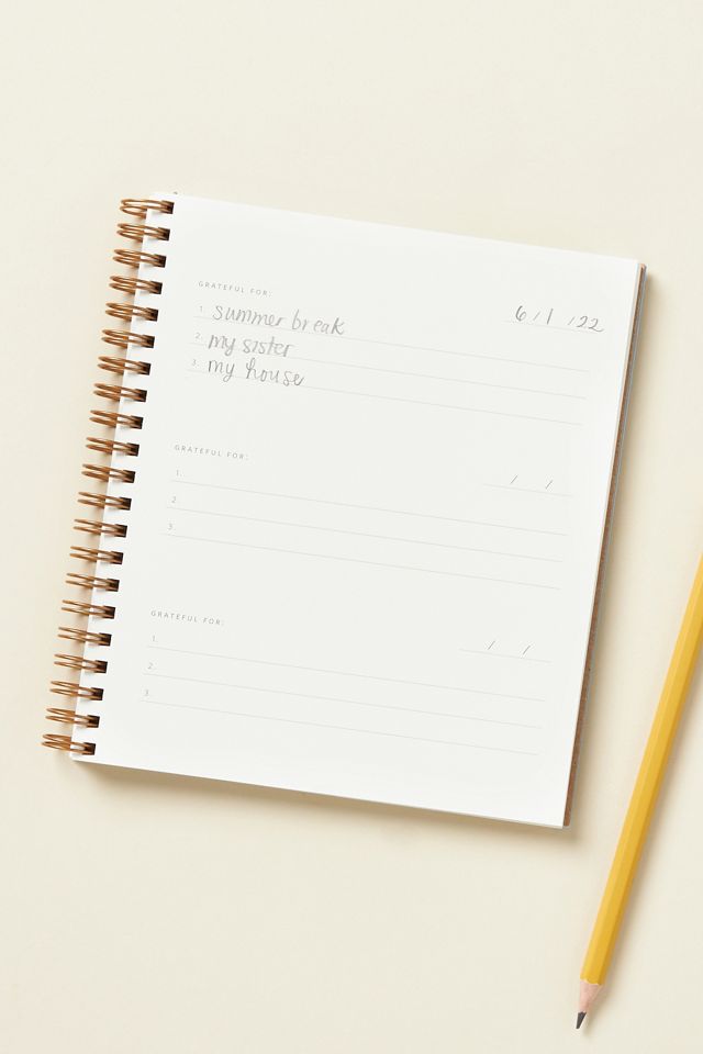 Mini Gratitude Journal #1