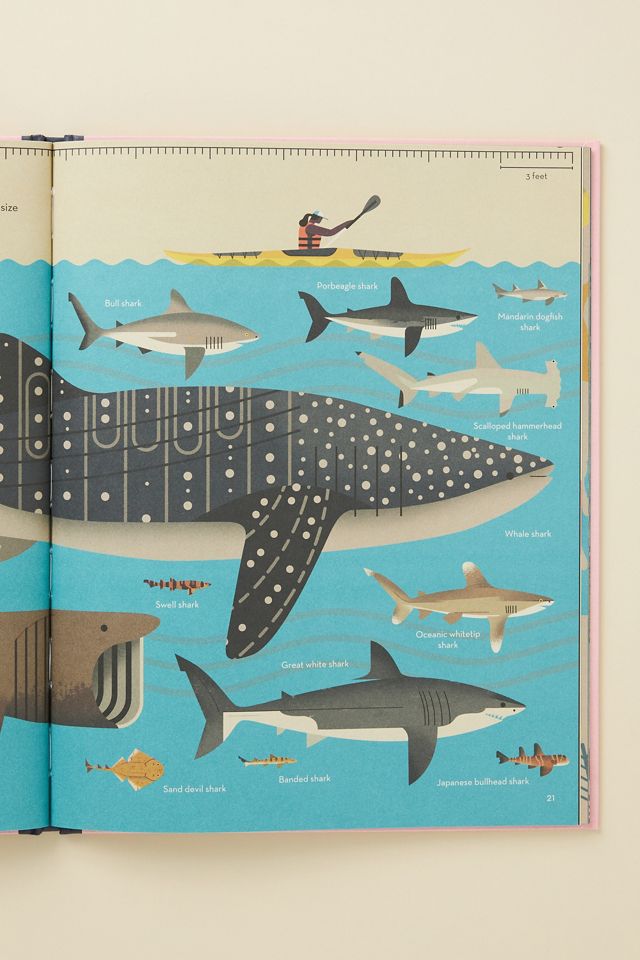 Smart About Sharks #2