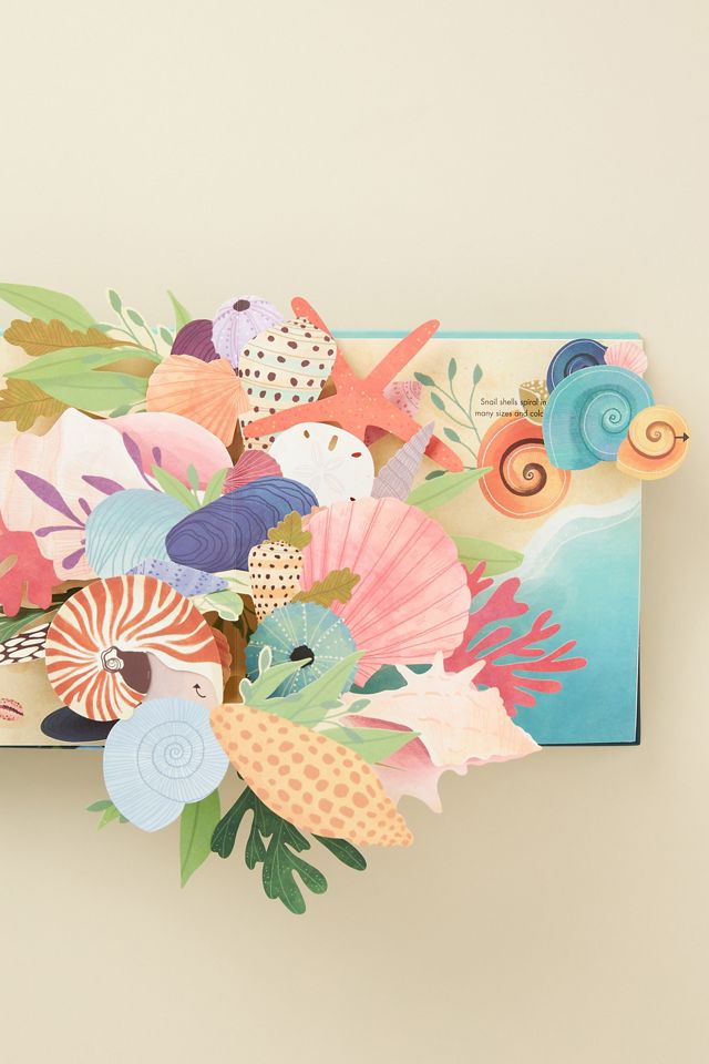 Shells: A Pop-up Book of Wonder | AnthroLiving
