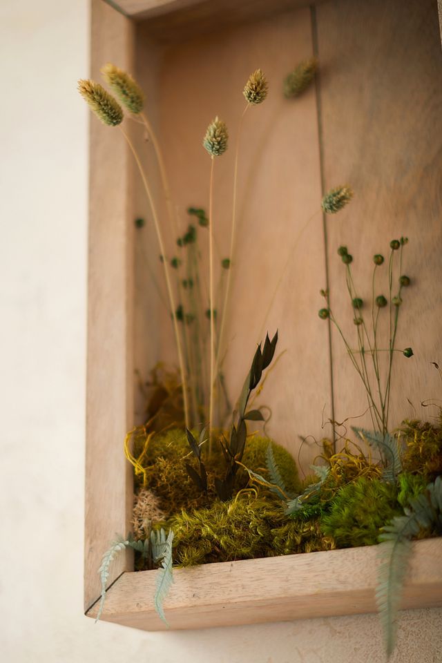 Wall-Mounted Plantable Frame #4