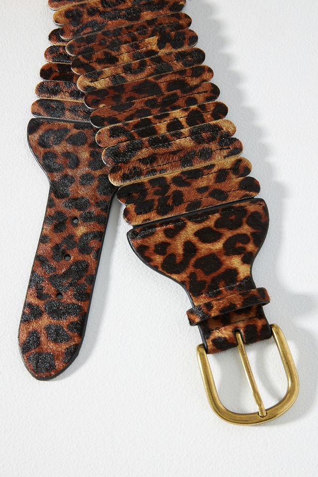 Wide Tabby Waist Belt #1