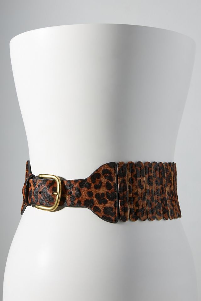 Wide Tabby Waist Belt #2
