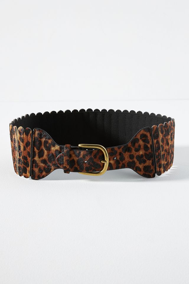 Wide Tabby Waist Belt